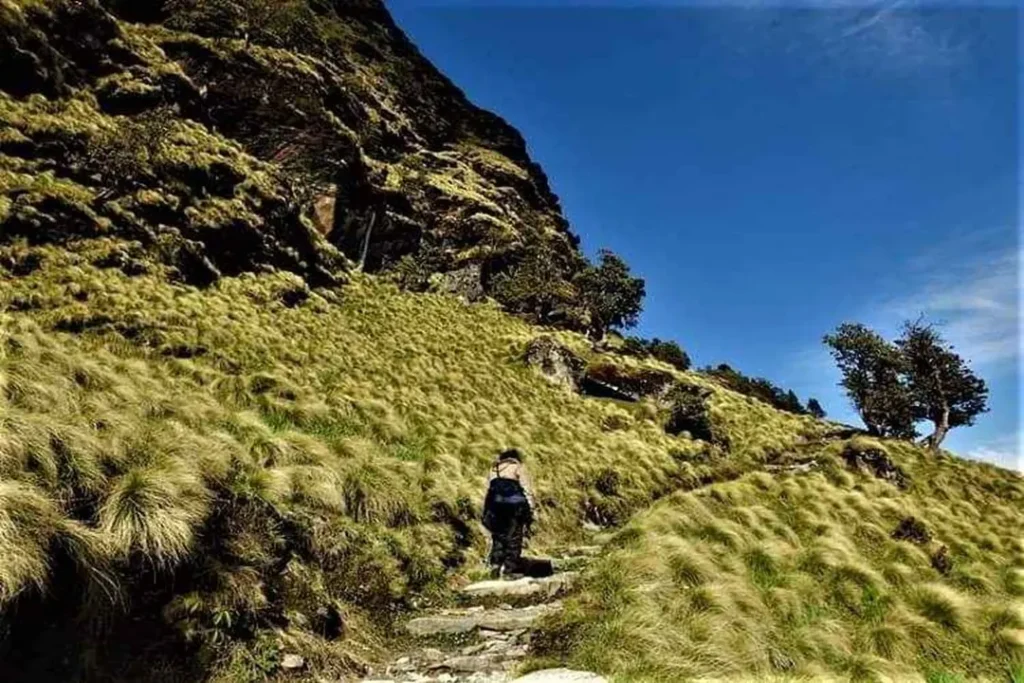 Rudranath Trek in monsoon
