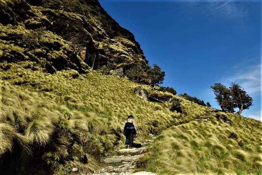 Rudranath Trek in monsoon
