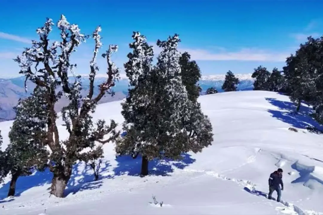 nag tibba trek route guide