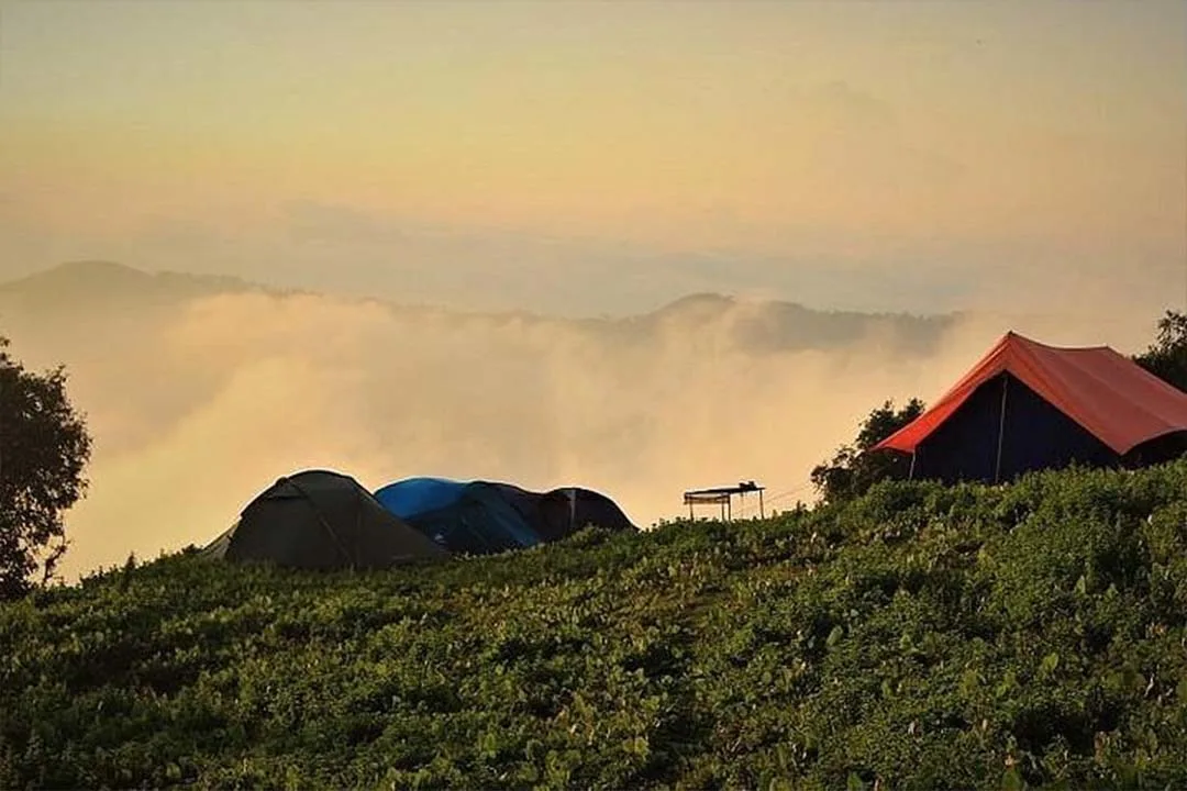 Nag Tibba Trek from pantwari